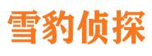 安乡侦探公司